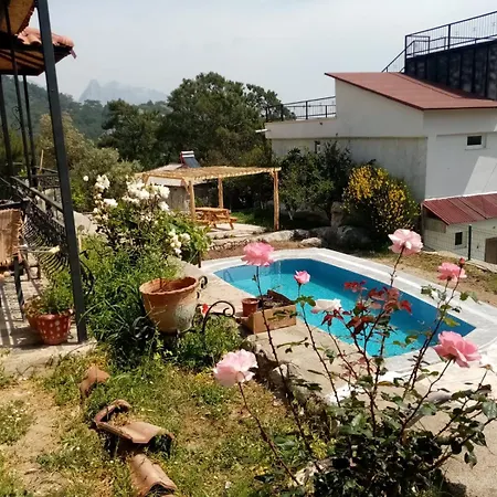 Mountain With Pool Villa Hacisekililer