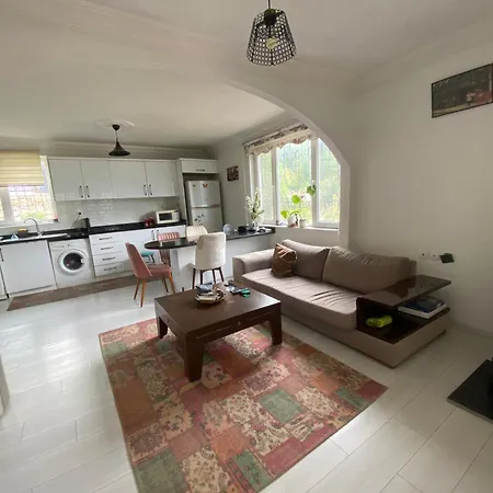 Mountain With Pool *